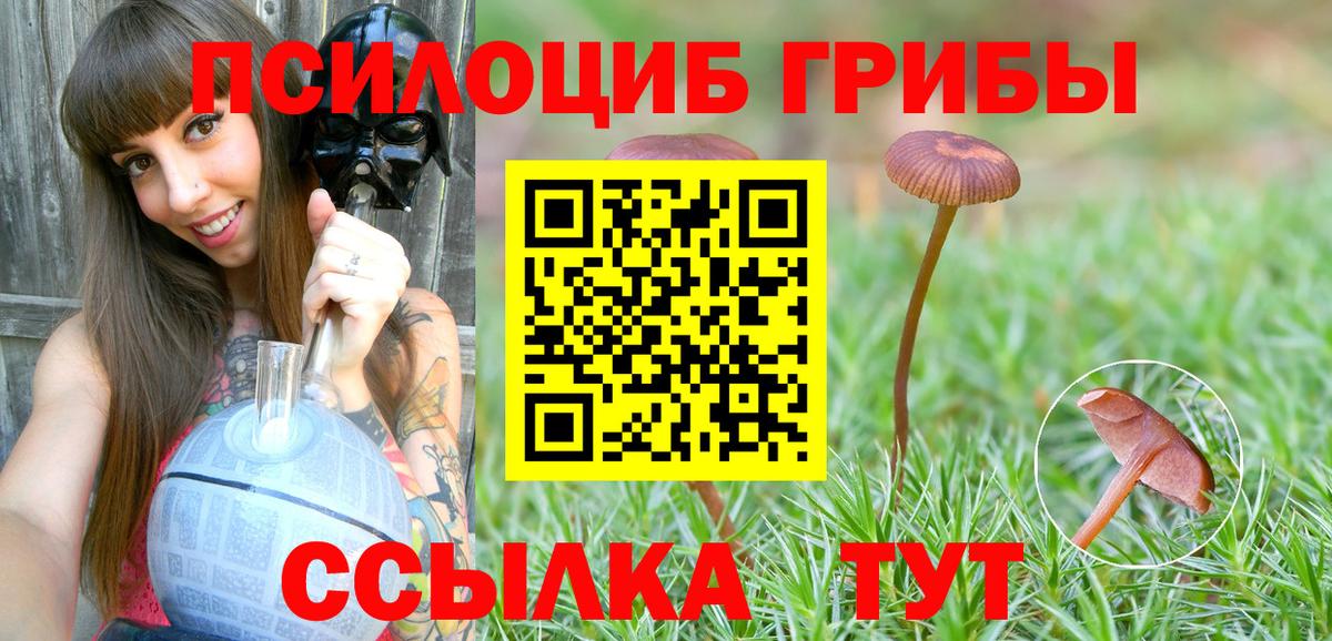 Псилоцибиновые грибы Magic Shrooms Клинцы