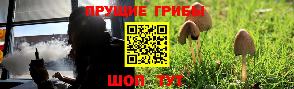 Клинцы  купить   Вход с VPN  Галлюциногенные грибы прущие грибы 
